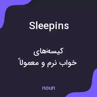 معنی sleepins به فارسی
