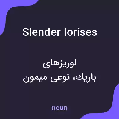معنی slender lorises به فارسی معنی slender lorises به فارسی