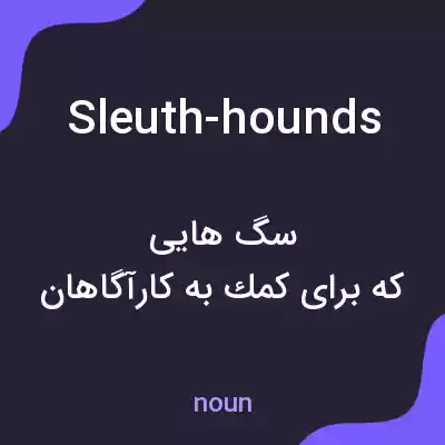 معنی sleuth-hounds به فارسی