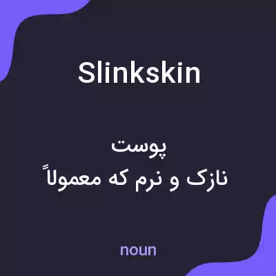 معنی slinkskin به فارسی معنی slinkskin به فارسی
