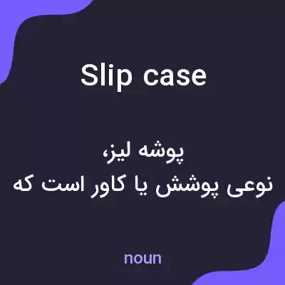 معنی slipcase به فارسی معنی slipcase به فارسی
