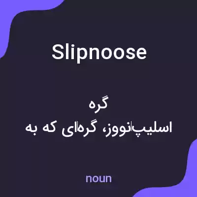 معنی slipnoose به فارسی معنی slipnoose به فارسی