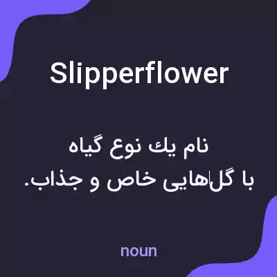 معنی slipperflower به فارسی معنی slipperflower به فارسی