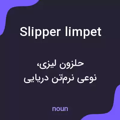 معنی slipper limpet به فارسی معنی slipper limpet به فارسی
