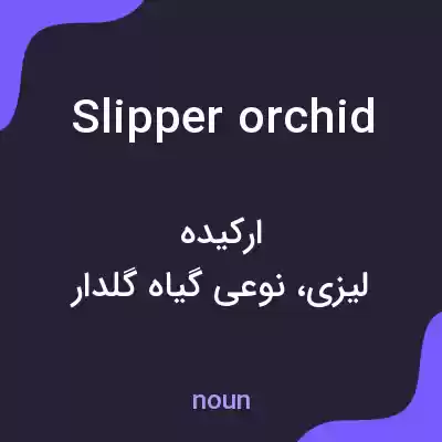 معنی slipper orchid به فارسی معنی slipper orchid به فارسی