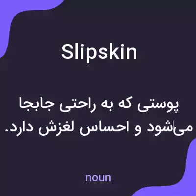 معنی slipskin به فارسی معنی slipskin به فارسی