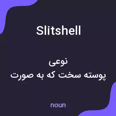معنی slitshell به فارسی معنی slitshell به فارسی
