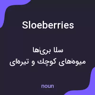 معنی sloeberries به فارسی معنی sloeberries به فارسی