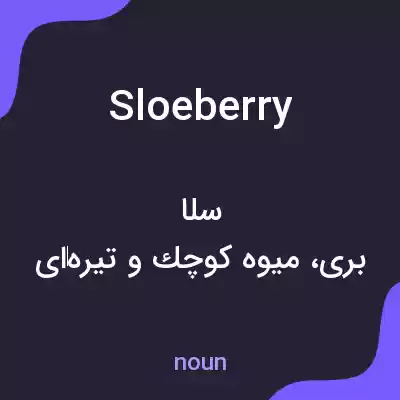 معنی sloeberry به فارسی معنی sloeberry به فارسی