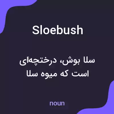 معنی sloebush به فارسی معنی sloebush به فارسی