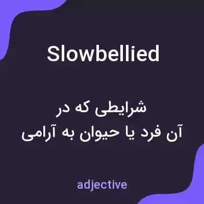 معنی slowbellied به فارسی معنی slowbellied به فارسی