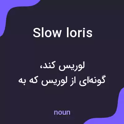 معنی slow loris به فارسی معنی slow loris به فارسی