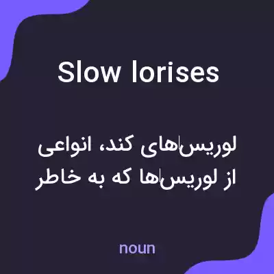 معنی slow lorises به فارسی معنی slow lorises به فارسی