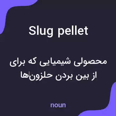 معنی slug pellet به فارسی معنی slug pellet به فارسی