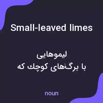 معنی small-leaved limes به فارسی معنی small-leaved limes به فارسی