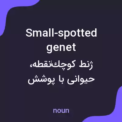 معنی small-spotted genet به فارسی معنی small-spotted genet به فارسی