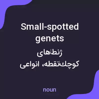 معنی small-spotted genets به فارسی