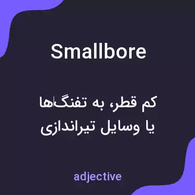 معنی smallbore به فارسی معنی smallbore به فارسی