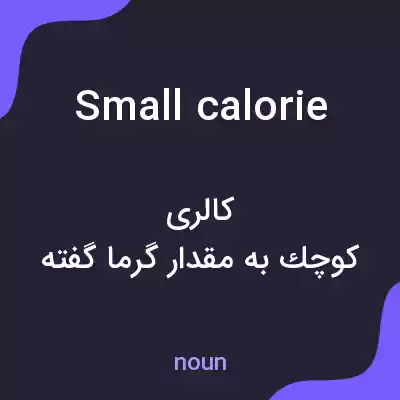 معنی small calorie به فارسی معنی small calorie به فارسی