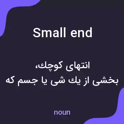 معنی small end به فارسی معنی small end به فارسی