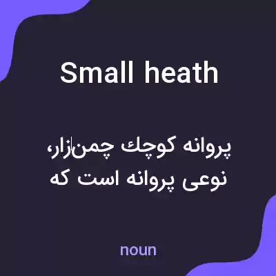 معنی small heath به فارسی معنی small heath به فارسی