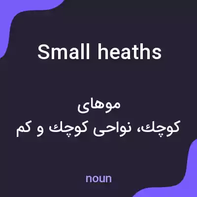 معنی small heaths به فارسی معنی small heaths به فارسی