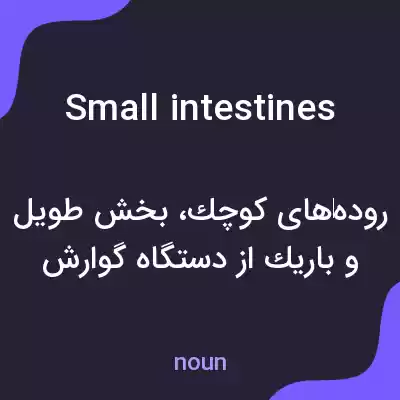معنی small intestines به فارسی