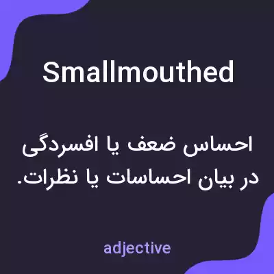 معنی smallmouthed به فارسی معنی smallmouthed به فارسی