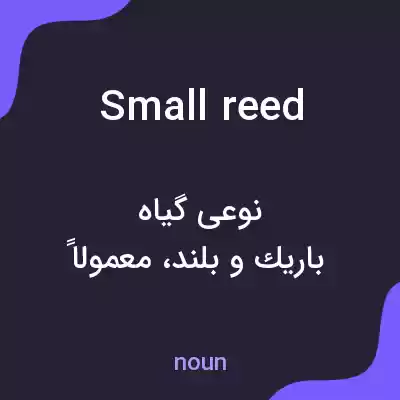 معنی small reed به فارسی معنی small reed به فارسی