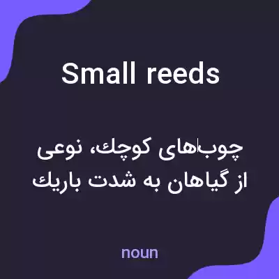 معنی small reeds به فارسی معنی small reeds به فارسی