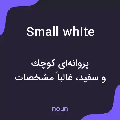 معنی small white به فارسی معنی small white به فارسی