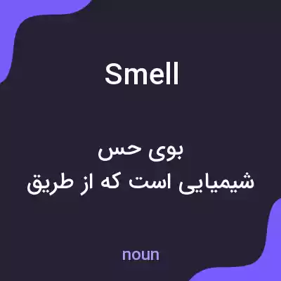 معنی smell به فارسی معنی smell به فارسی