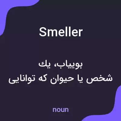 معنی smeller به فارسی معنی smeller به فارسی
