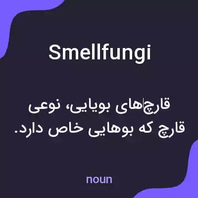 معنی smellfungi به فارسی معنی smellfungi به فارسی