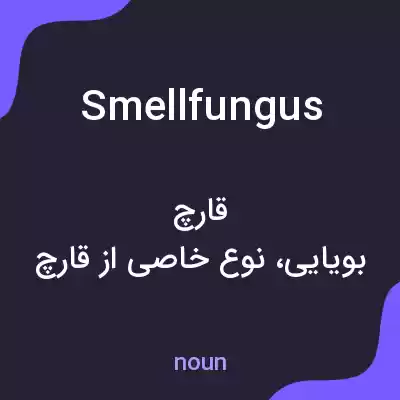 معنی smellfungus به فارسی معنی smellfungus به فارسی