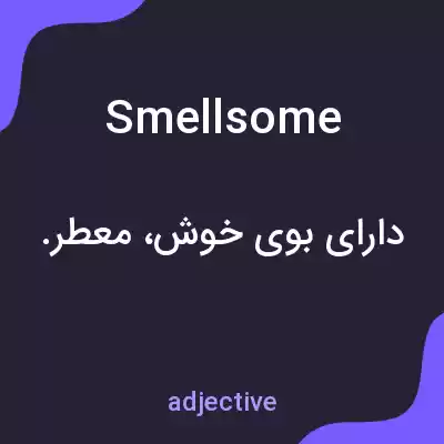 معنی smellsome به فارسی معنی smellsome به فارسی