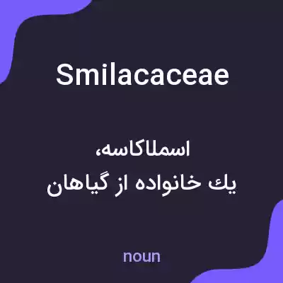 معنی smilacaceae به فارسی معنی smilacaceae به فارسی