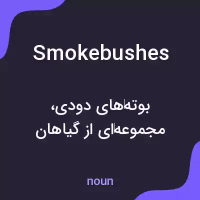 معنی smoke bushes به فارسی