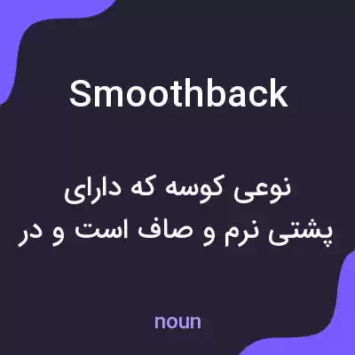 معنی smoothback به فارسی معنی smoothback به فارسی