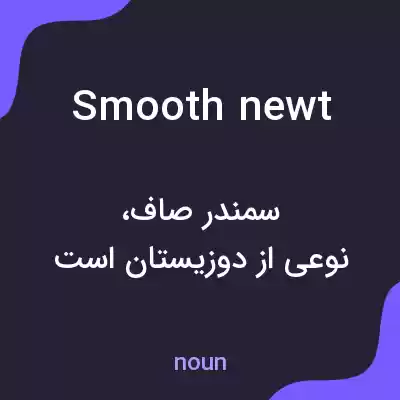 معنی smooth newt به فارسی معنی smooth newt به فارسی