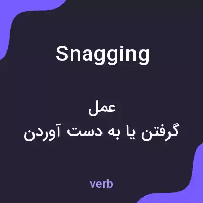 معنی snagging به فارسی معنی snagging به فارسی