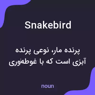 معنی snakebird به فارسی معنی snakebird به فارسی