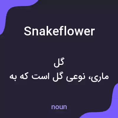 معنی snakeflower به فارسی معنی snakeflower به فارسی