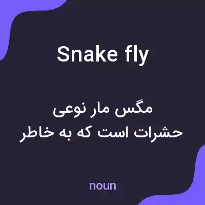 معنی snake fly به فارسی معنی snake fly به فارسی