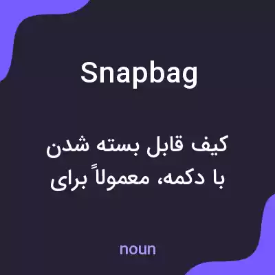 معنی snapbag به فارسی معنی snapbag به فارسی