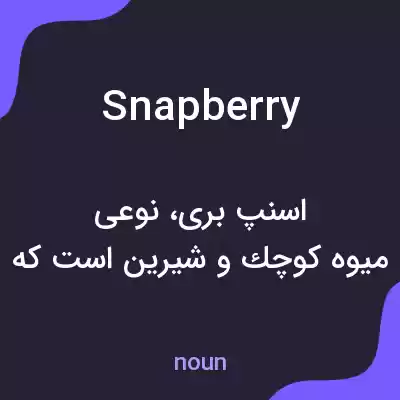 معنی snapberry به فارسی معنی snapberry به فارسی