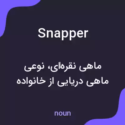 معنی snapper به فارسی معنی snapper به فارسی