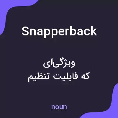 معنی snapperback به فارسی معنی snapperback به فارسی