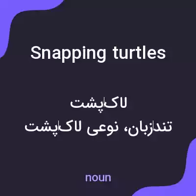 معنی snapping turtles به فارسی معنی snapping turtles به فارسی