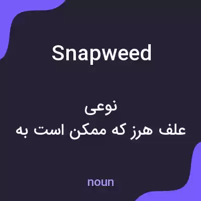معنی snapweed به فارسی معنی snapweed به فارسی